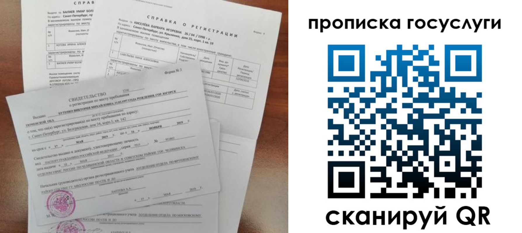 прописка в Гаджиево
